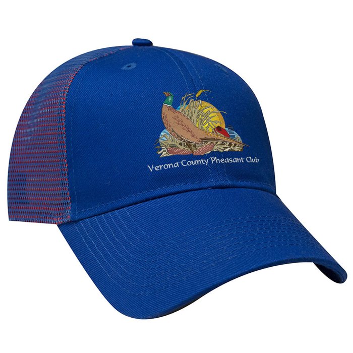 Custom Contrast Colour Mesh Back Cap