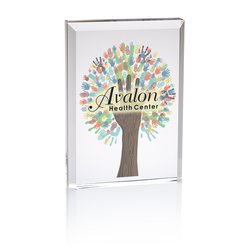 Custom Luminous Acrylic Award - Full Colour