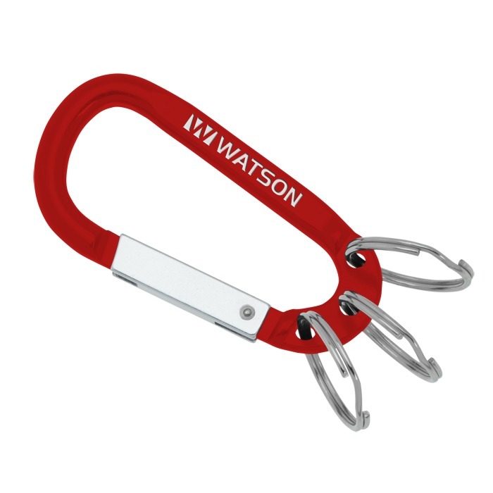 Custom Arctic Carabiner Keychain