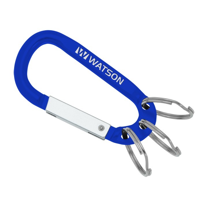 Custom Arctic Carabiner Keychain