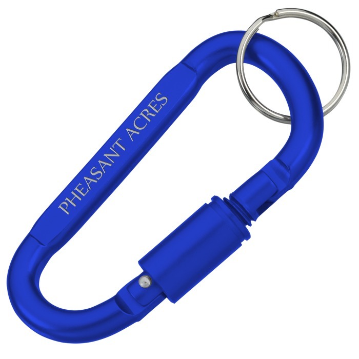 Custom Carabiner Lock Keychain