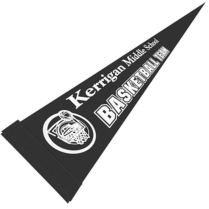 Custom Pennant 5 inches x 12 inches - Colours