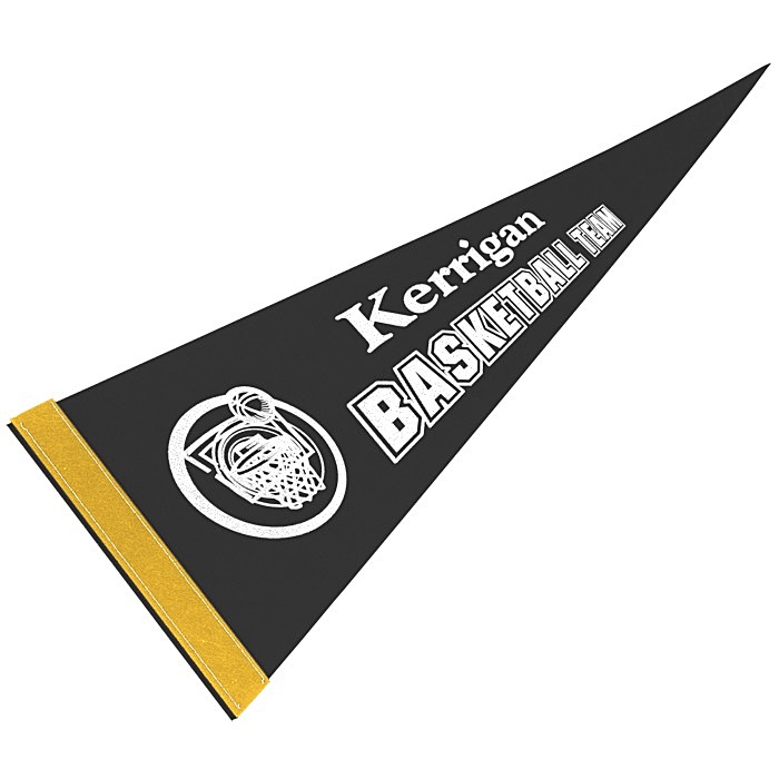 Custom Pennant 8 inches x 18 inches - Colours