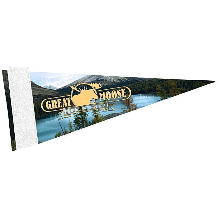 Custom Premium Pennant - 4 inches x 10 inches