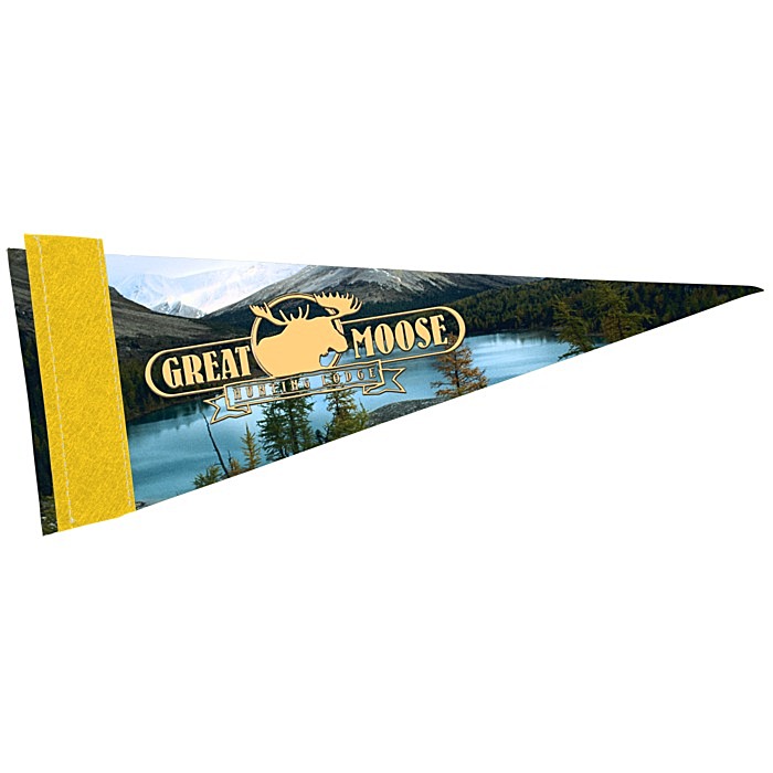 Custom Premium Pennant - 4 inches x 10 inches