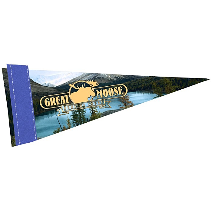 Custom Premium Pennant - 4 inches x 10 inches