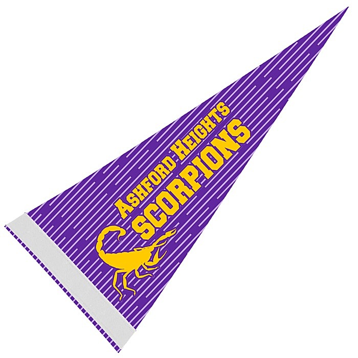 Custom Pennant 8 inches x 18 inches - White - Full Colour