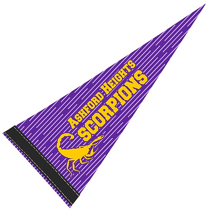 Custom Pennant 8 inches x 18 inches - White - Full Colour