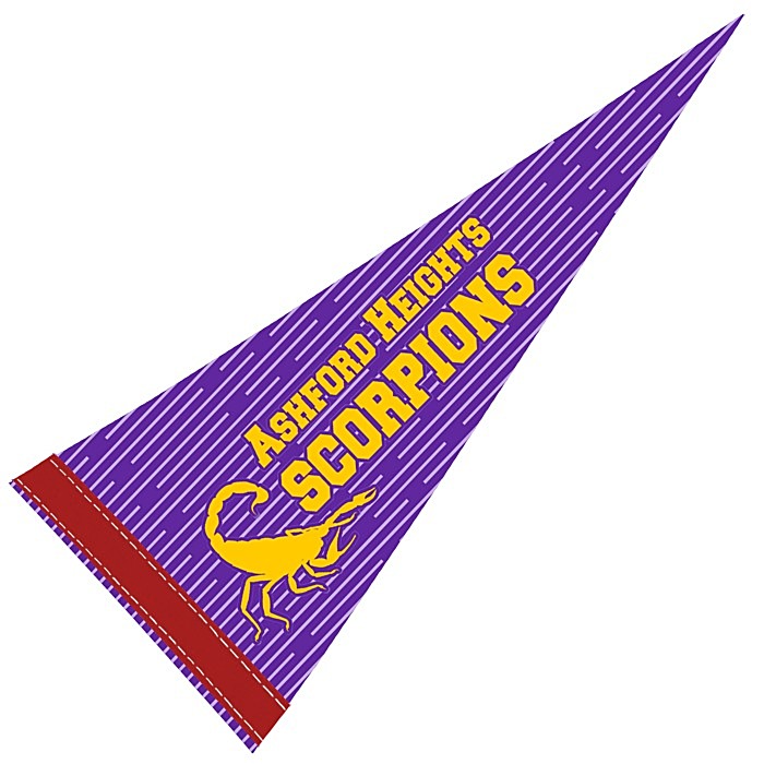 Custom Pennant 8 inches x 18 inches - White - Full Colour