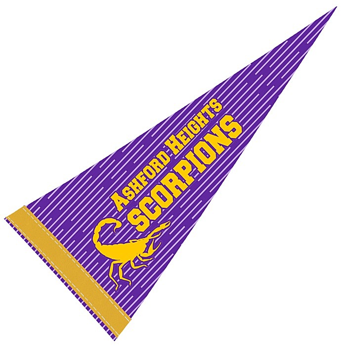 Custom Pennant 8 inches x 18 inches - White - Full Colour