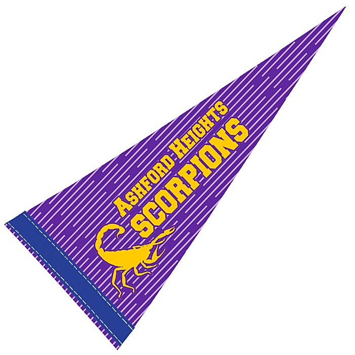 Custom Pennant 8 inches x 18 inches - White - Full Colour
