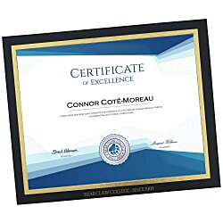 Custom Mat Certificate Frame - 8